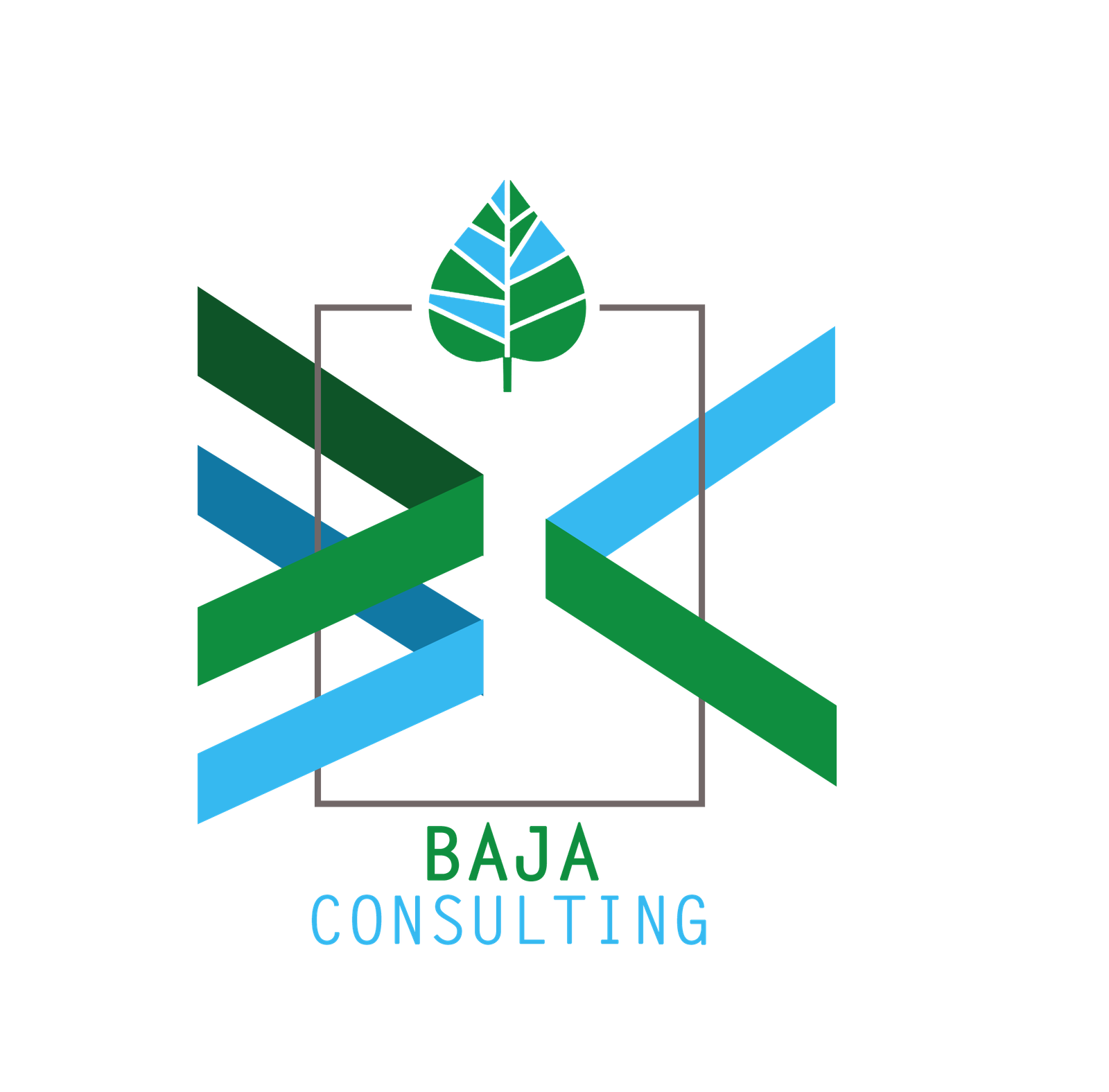 baja consulting new logo3434 WH2
